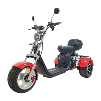Электроскутер CITYCOCO X12 TRIKE Красный