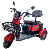 Трицикл GreenCamel Фродо X7 (60V 500W) Trike дифференциал, красный