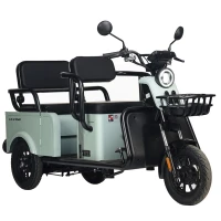 Электротрицикл Wanshida LC-F150 60V 1000Вт Зелёный